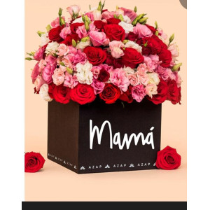 Dia de la madre