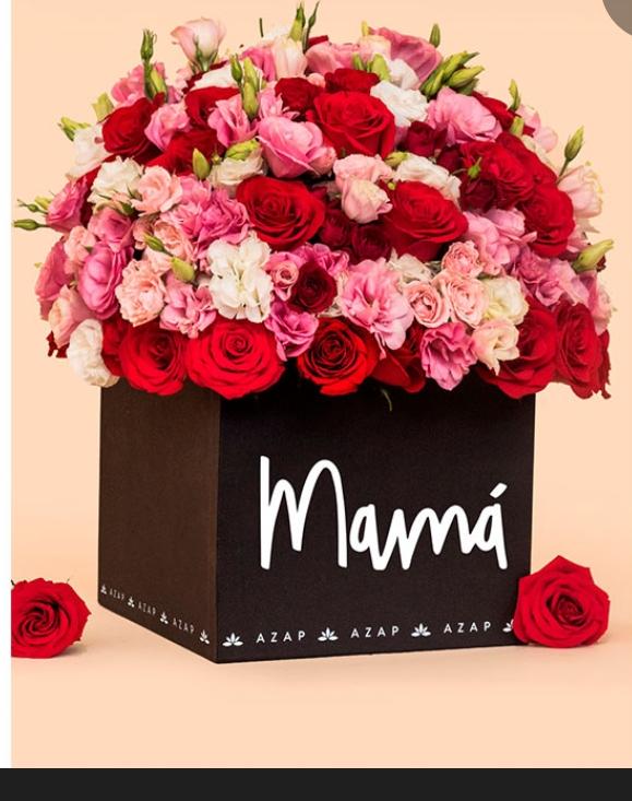 Dia de la madre
